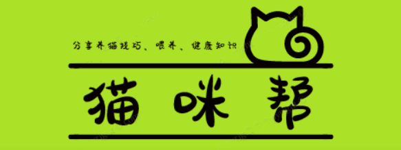 貓咪幫:分享養(yǎng)貓技巧、喂養(yǎng)、健康知識(shí)