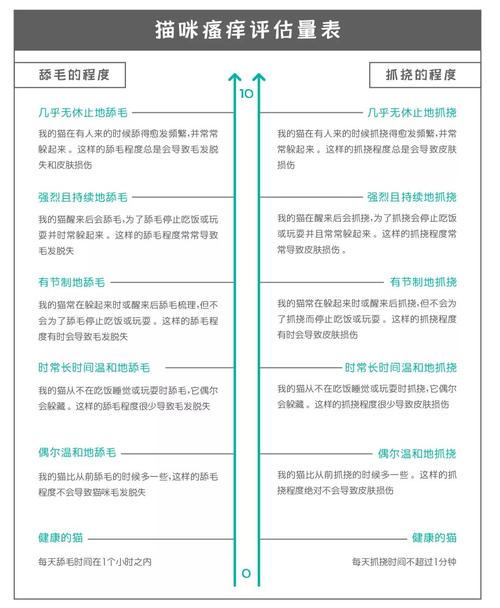 告別抓撓煩惱：貓咪抓撓行為的有效糾正方法！