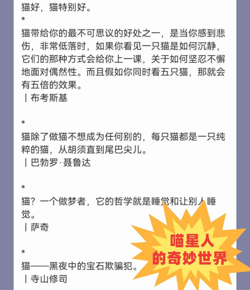 貓咪的奇妙世界：解鎖喵星人的特征與習(xí)性之謎