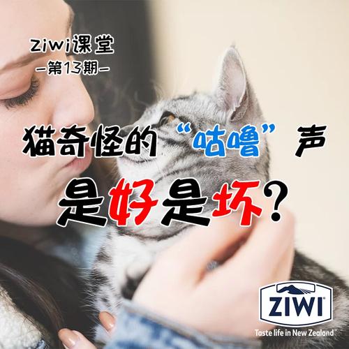 貓咪為什么會(huì)發(fā)出警告聲？