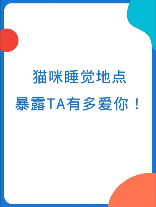 貓咪對你有“意見”？教你5個步驟修復(fù)與愛貓的親密關(guān)系