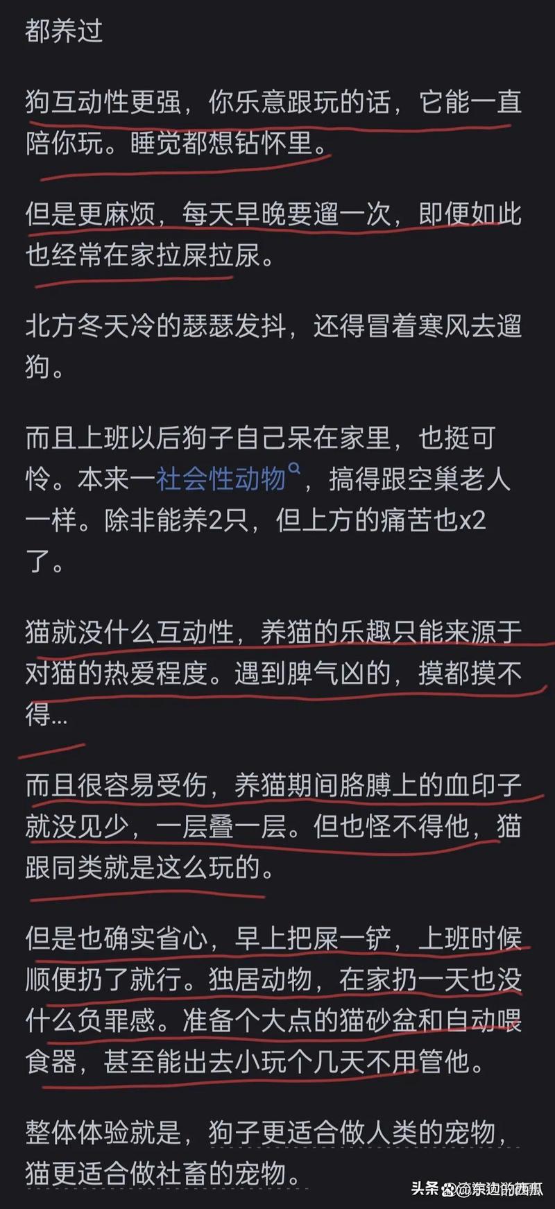 感覺狗的風(fēng)評漸漸不如貓了，為什么？