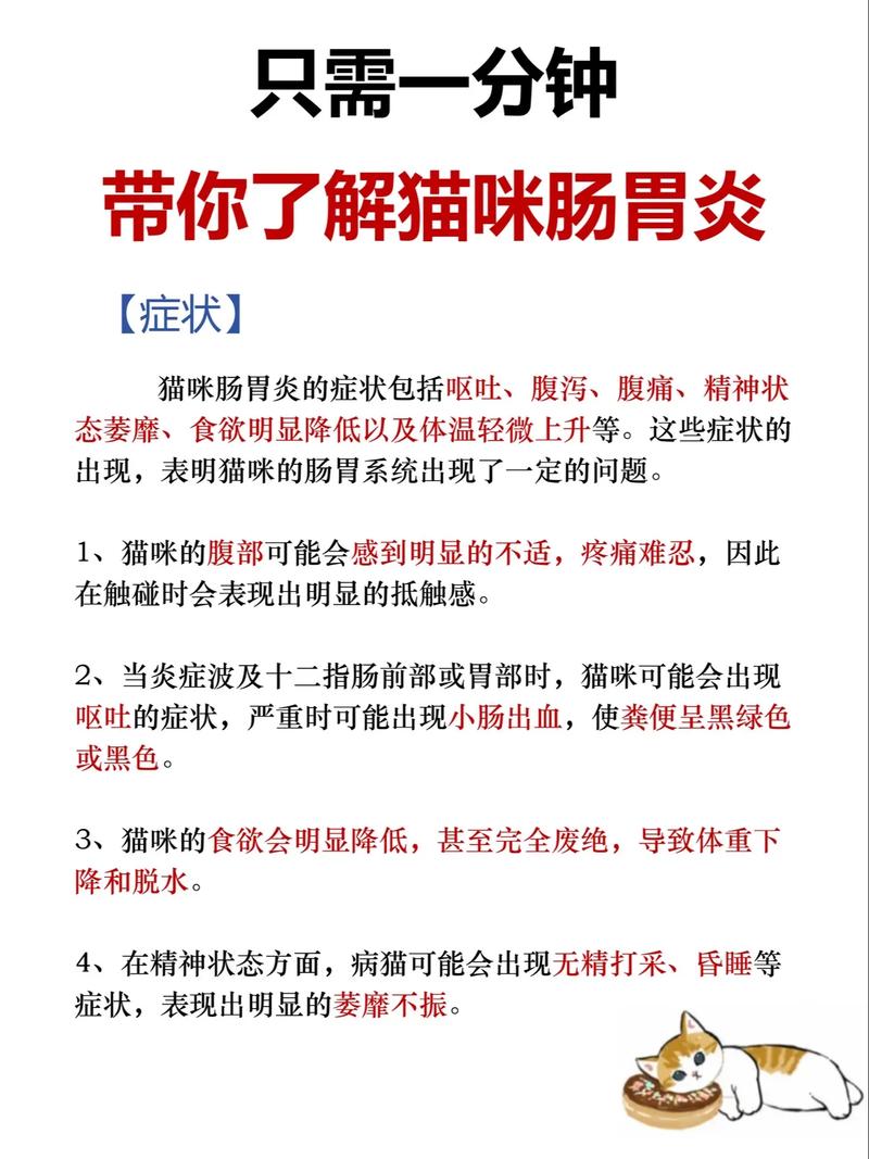 貓咪的健康小貼士，腸胃檢查與日常護理