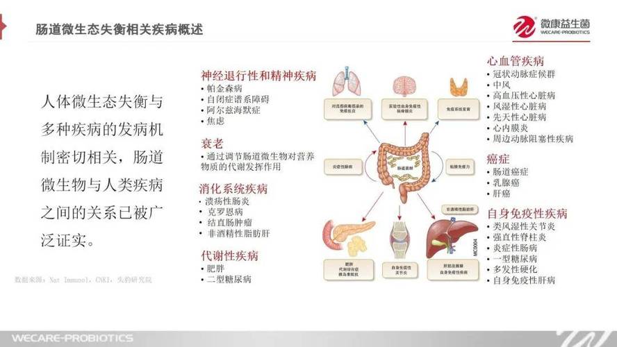 貓科動物的腸道疾病，如何正確識別和治療