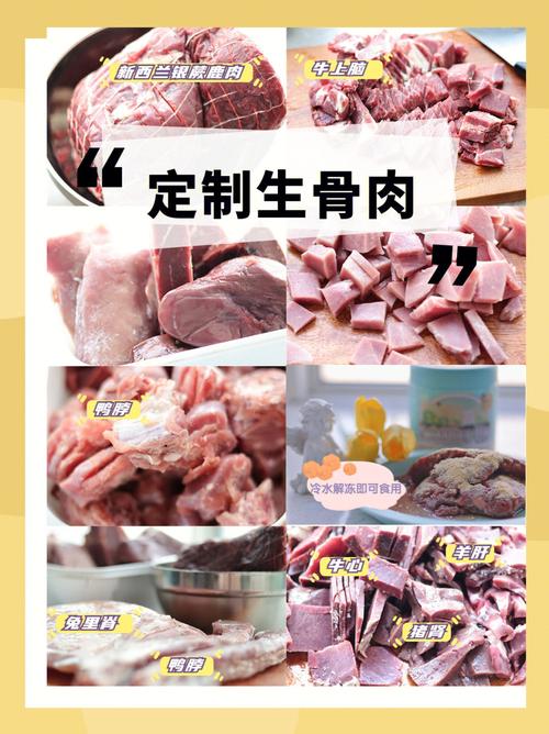 貓咪生骨肉，探索動物生命中的奧秘