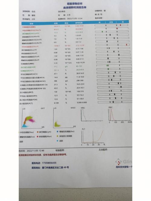 貓咪肝功能測試報告，全面體檢，健康守護