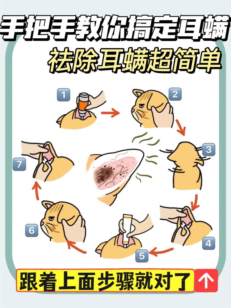 貓耳螨，科學(xué)防治與護(hù)理技巧