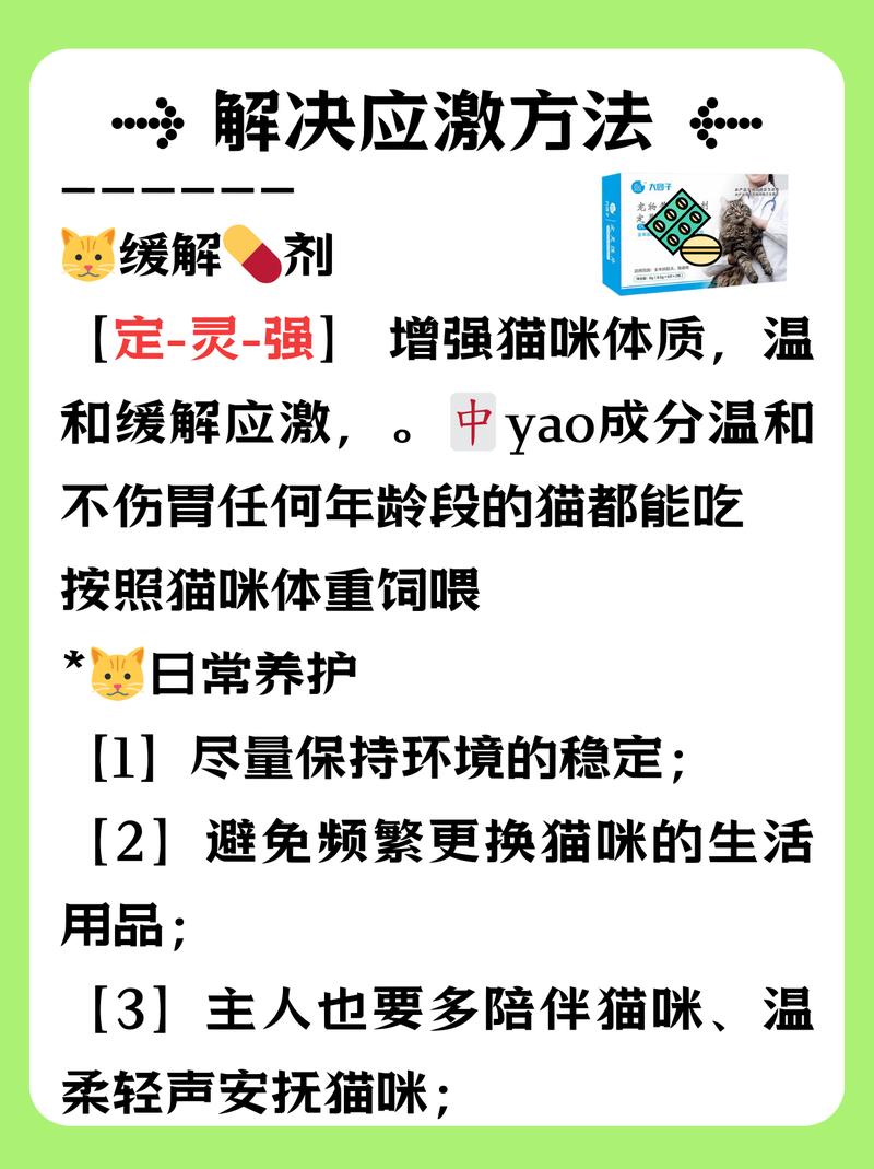 貓咪的嚎叫，為何如此頻繁？探索背后的原因和解決方案