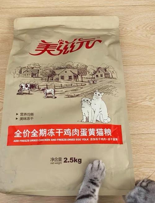 揭秘貓咪美食，自制干糧的魅力