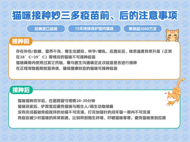 貓咪疫苗接種指南貓咪多大要打針？正確疫苗接種是貓健康的重要保障