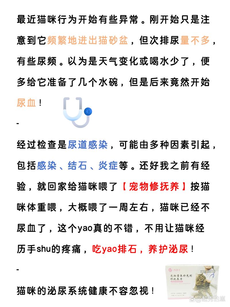 貓咪尿路綜合感染，健康守護的隱形殺手