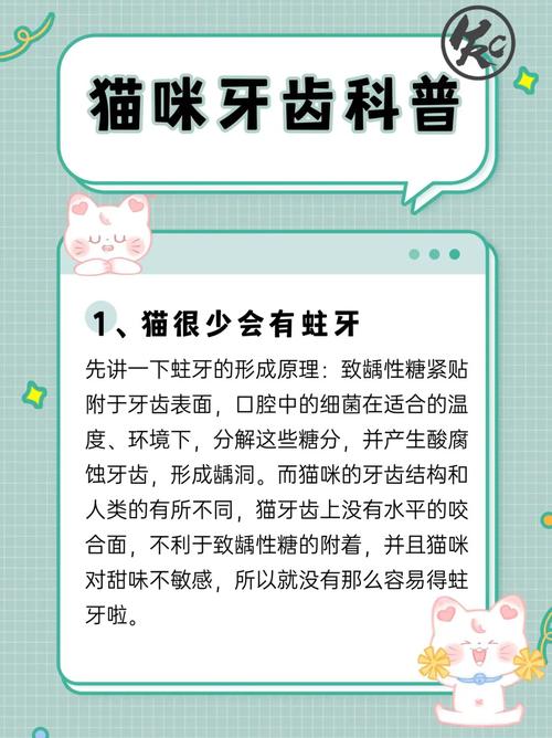 萌寵小百科，揭秘年輕貓咪的牙齒奧秘