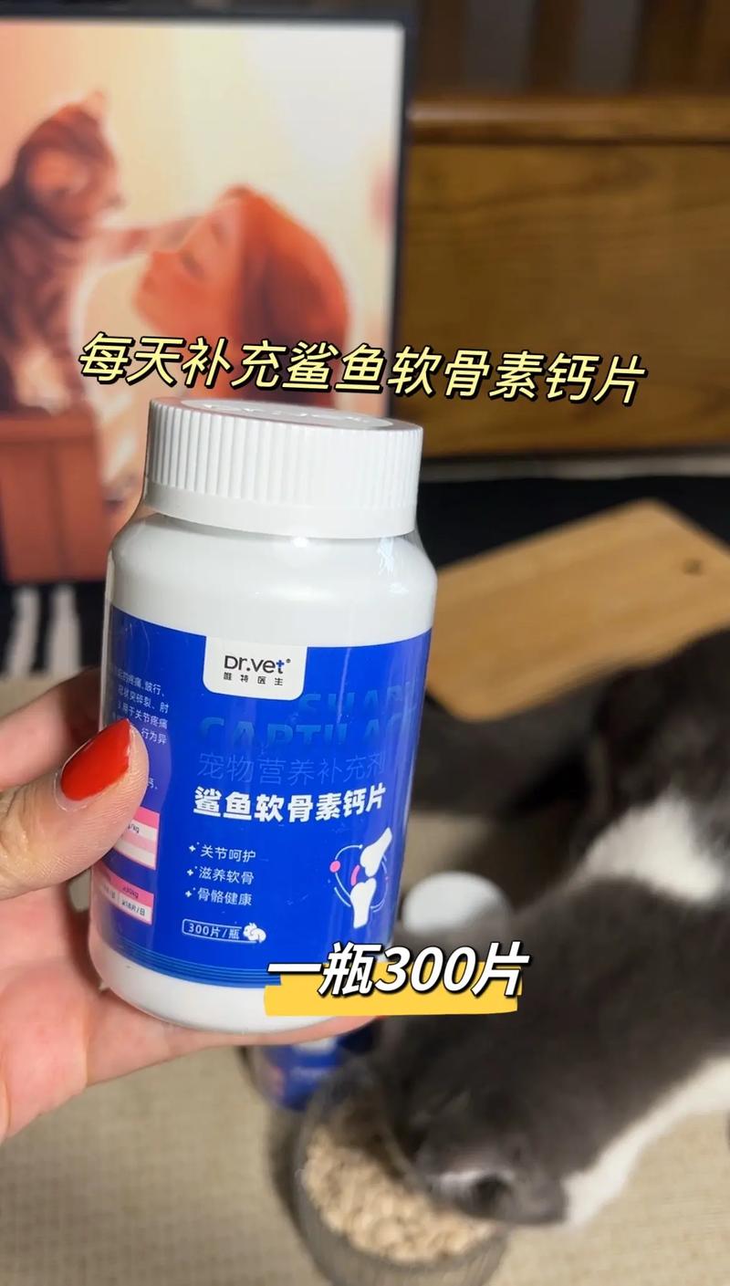 貓咪鈣片的正確使用與健康生活