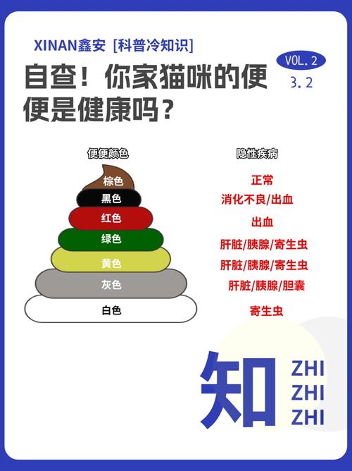 貓咪拉屎顏色淺，揭秘貓咪健康與快樂(lè)的秘密