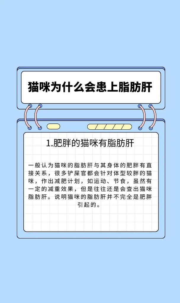 貓咪肝臟疾病的真相，飲食調(diào)整與健康維護(hù)