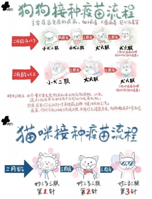 貓咪疫苗接種指南，科學呵護你的愛寵健康