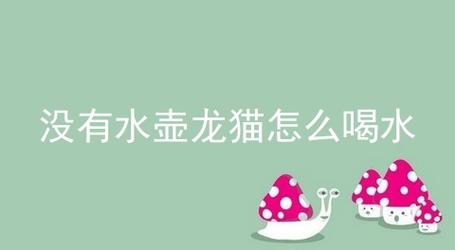 揭秘，如何讓貓咪喝上一口美味水——貓咪的水壺與水源的選擇