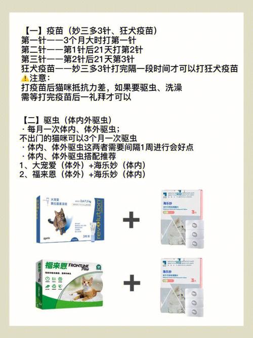 貓咪疫苗過期了？別擔(dān)心！如何延長貓咪疫苗的有效期