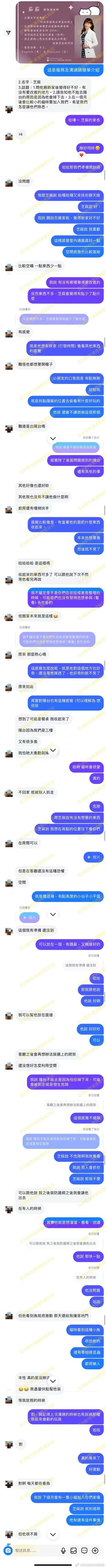 接納新成員，貓咪適應(yīng)新同伴的時(shí)間表