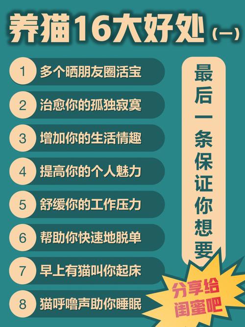 養(yǎng)貓必備技能大揭秘，如何讓愛寵多喝水