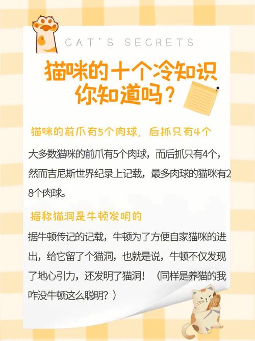 為何貓咪在寒冷中發(fā)抖？探尋它們的秘密