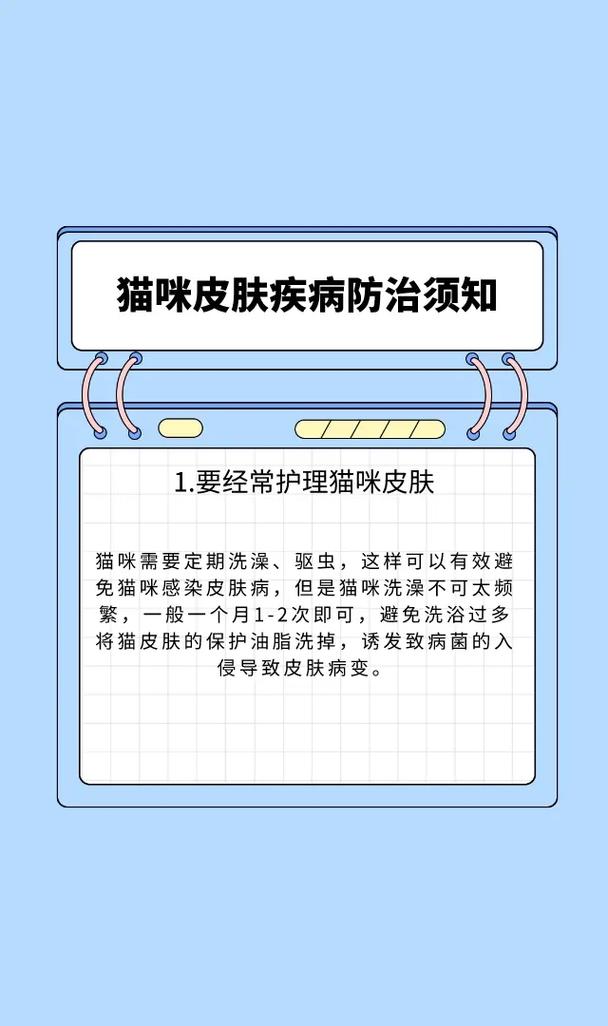 貓咪常見疾病預(yù)防與護(hù)理指南