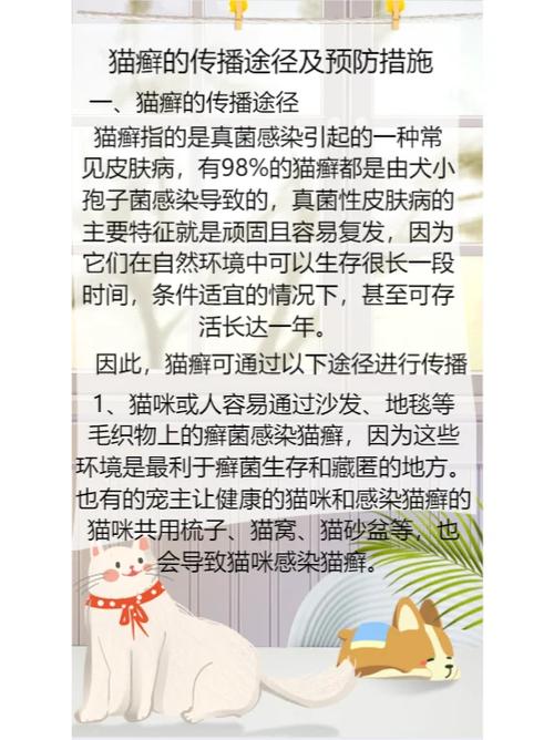 貓咪患病，常見癥狀與預(yù)防措施