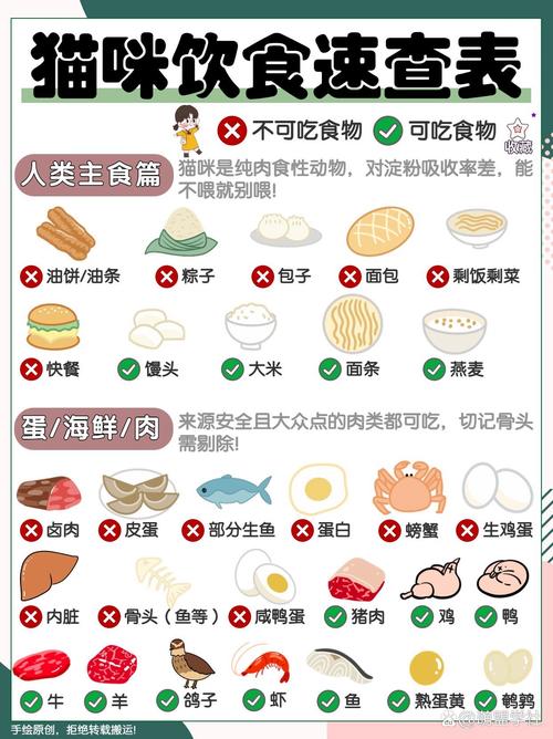 貓咪的肉食偏好與健康飲食指南