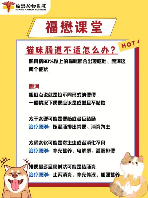 貓咪海鮮腹瀉？這事兒你得注意！