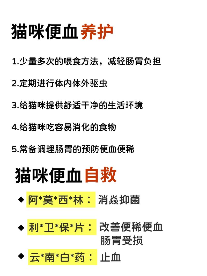 貓咪便血，潛在疾病的警告信號(hào)