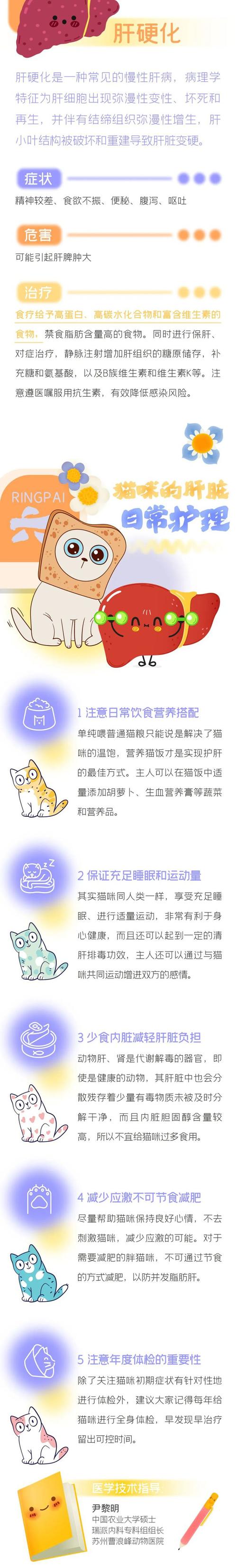 揭秘貓咪肝臟肥大的真相與預(yù)防