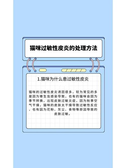 貓咪粒狀皮炎，了解、護(hù)理與預(yù)防