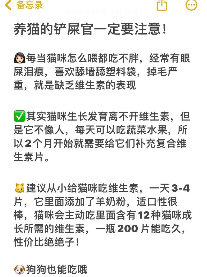 貓咪的健康成長，如何避免不必要的抑制