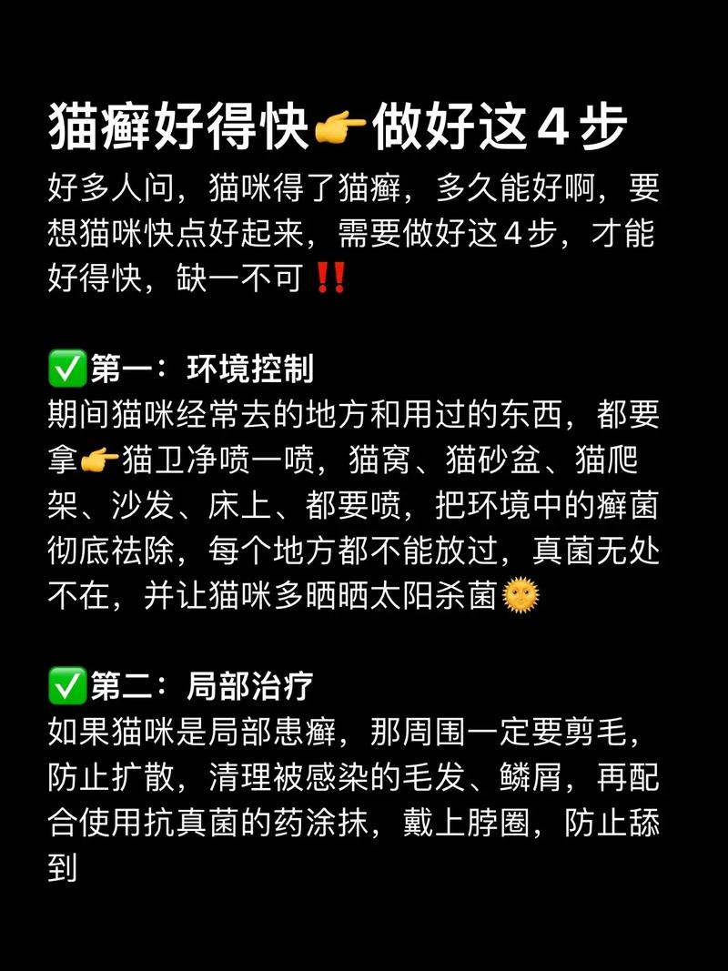 貓咪皮下蘚，預(yù)防與治療的全攻略