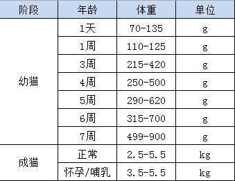 貓咪的體重與身高的奧秘，如何通過尺寸掌握健康