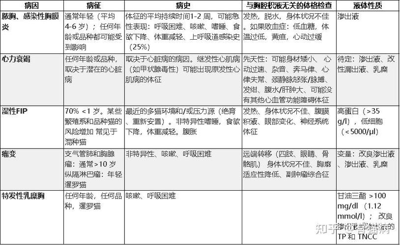 貓咪肝臟積水，癥狀、原因與預(yù)防