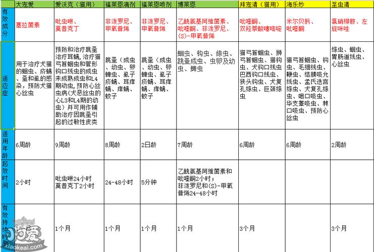 貓咪用藥量過大，如何避免寵物藥物濫用