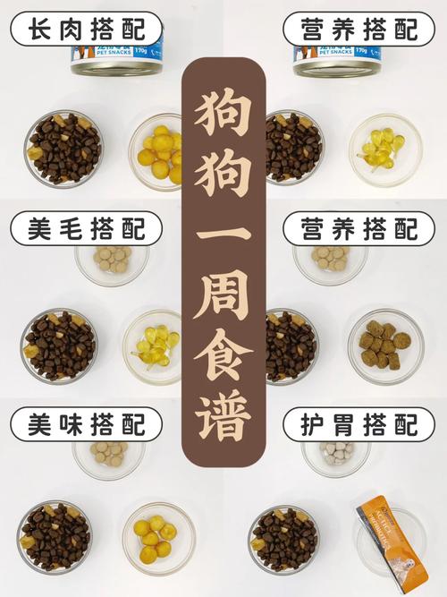 科學(xué)喂養(yǎng)產(chǎn)后貓咪，美味食譜助其恢復(fù)活力