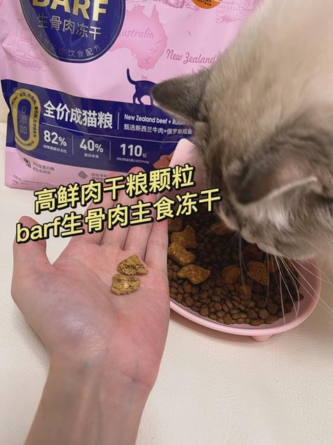 貓咪膿桿菌，了解這種病原體對寵物健康的影響