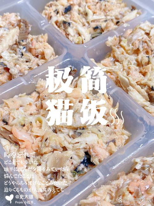 貓咪魚飯，治愈系美食的誕生