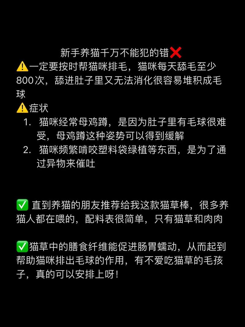 守護(hù)毛孩子健康——定期為愛寵進(jìn)行體檢的重要性