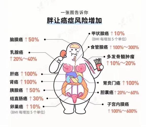 貓兒胖成球，健康危機(jī)！——貓咪肥胖的危害與對(duì)策