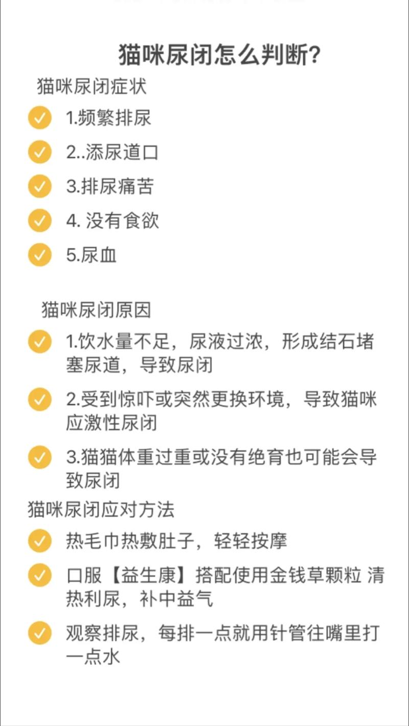 貓咪尿量減少？需警惕潛在健康隱患