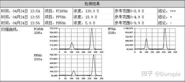 揭秘貓咪肺部積液，了解癥狀、原因與治療