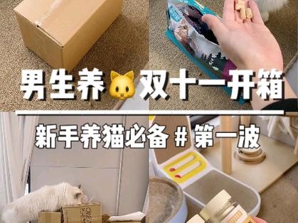 探索貓咪幸福生活的必備用品——貓咪飼養(yǎng)用具指南