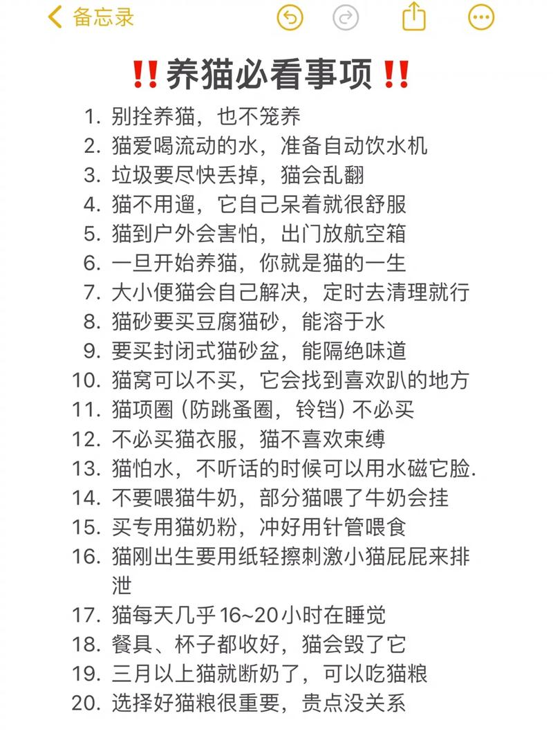 養(yǎng)貓必看！如何避免愛(ài)寵成為肥貓