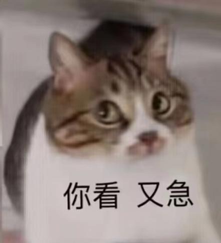 貓咪，并非總是臭