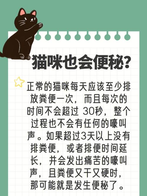 貓咪的純凈之源，解析正常貓咪尿液的秘密