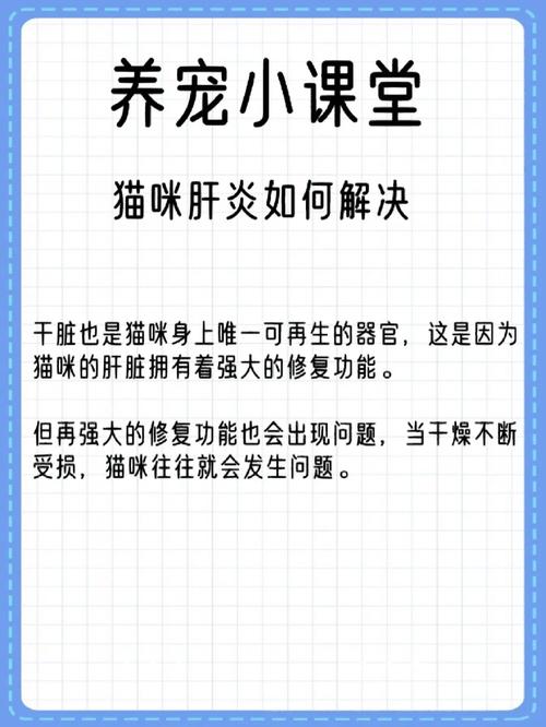 溫柔的伙伴，如何照顧家中患有輕度肝炎的貓咪