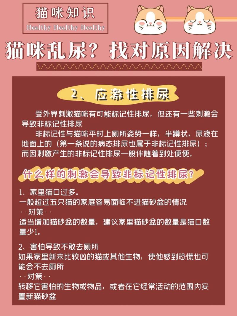 揭秘貓咪的排尿習(xí)慣，你了解多少？